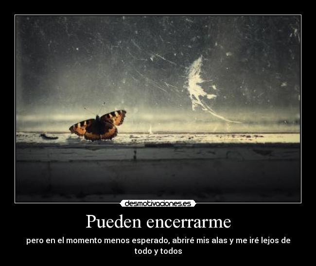 Pueden encerrarme - pero en el momento menos esperado, abriré mis alas y me iré lejos de todo y todos