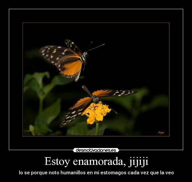 carteles mariposas desmotivaciones