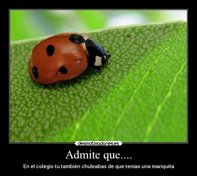Admite que.... - 