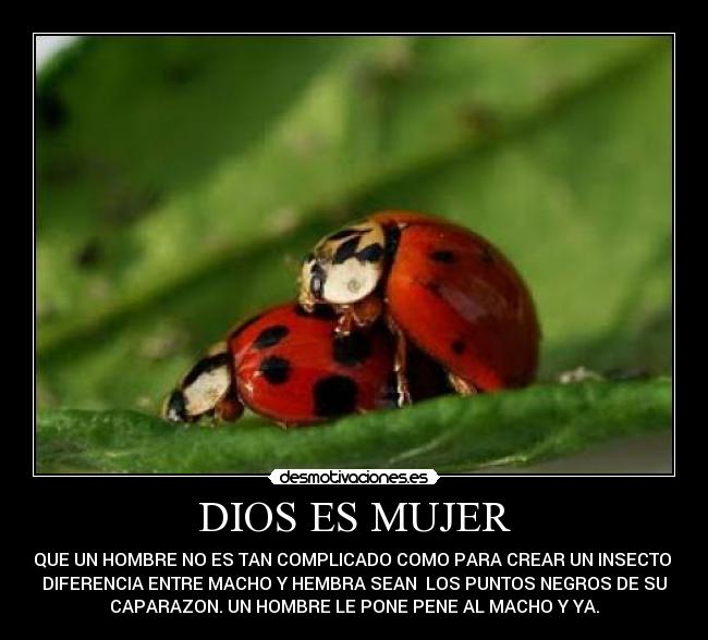 DIOS ES MUJER - 