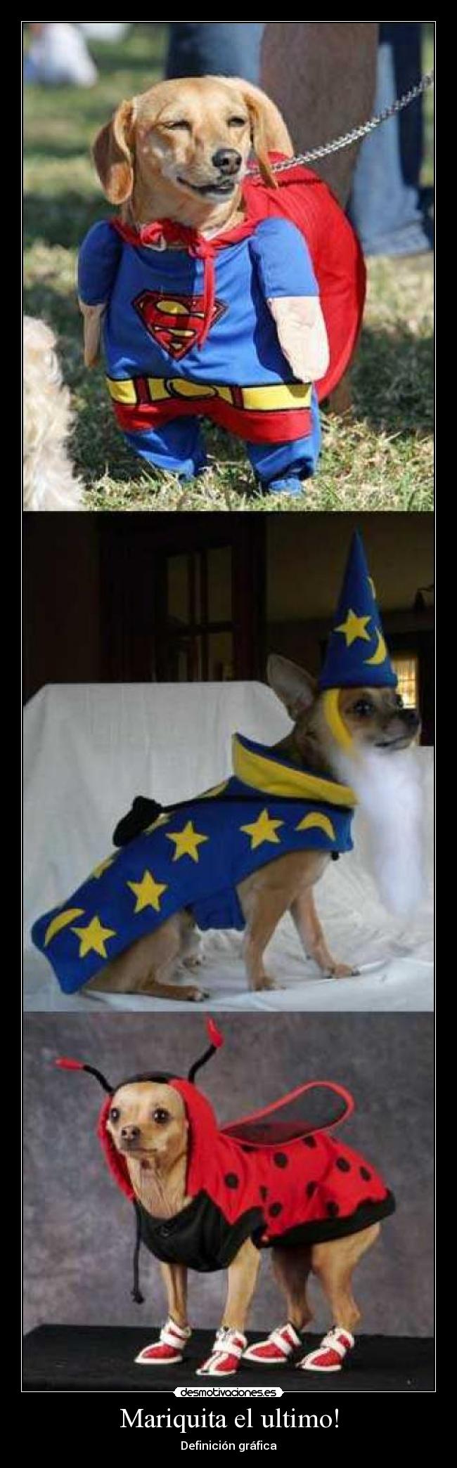 Mariquita el ultimo! - Definición gráfica