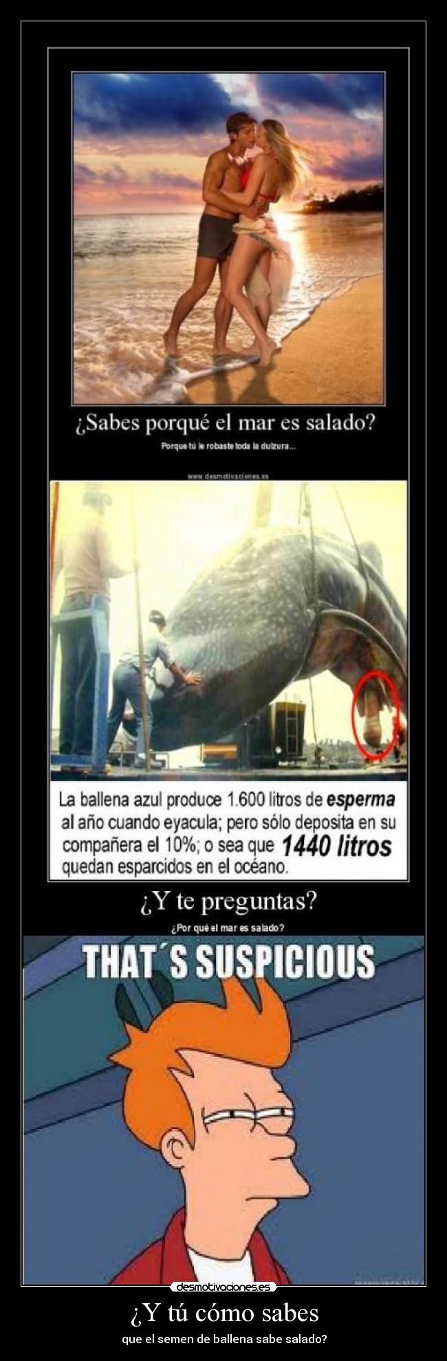 ¿Y tú cómo sabes - 