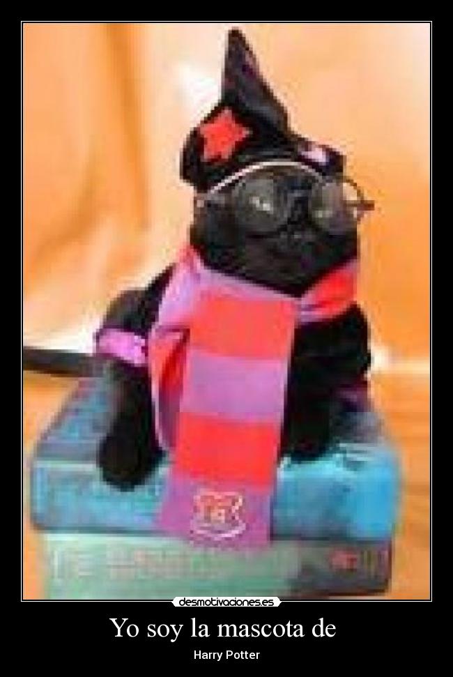 Yo soy la mascota de -