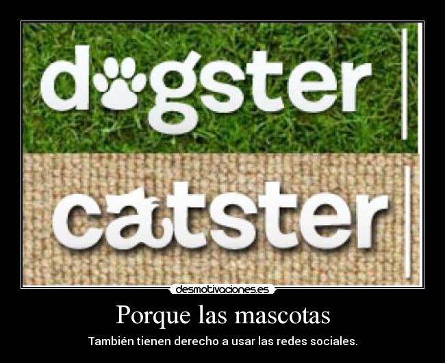 Porque las mascotas - También tienen derecho a usar las redes sociales.
