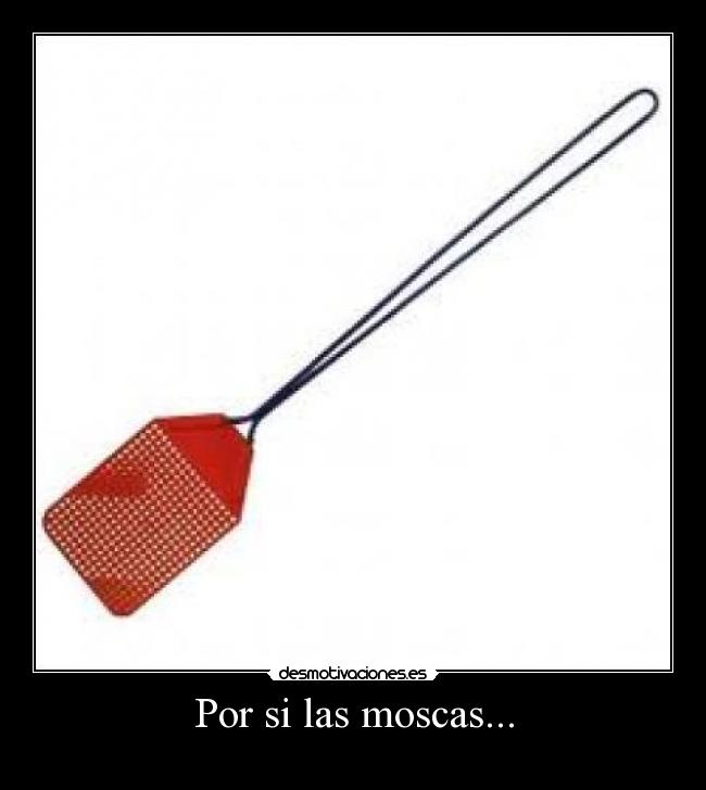 Por si las moscas... - 