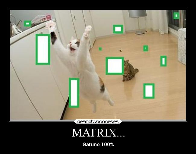 MATRIX... - Gatuno 100%