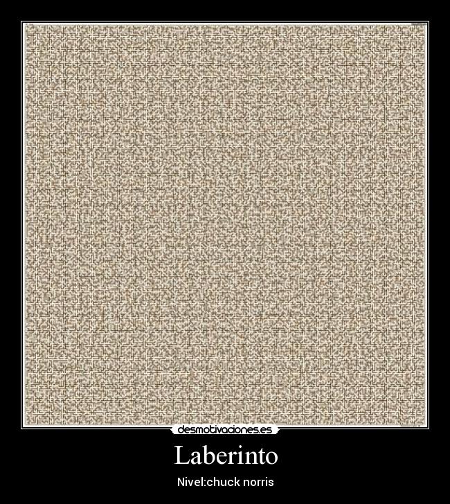 carteles poloki desmotivaciones