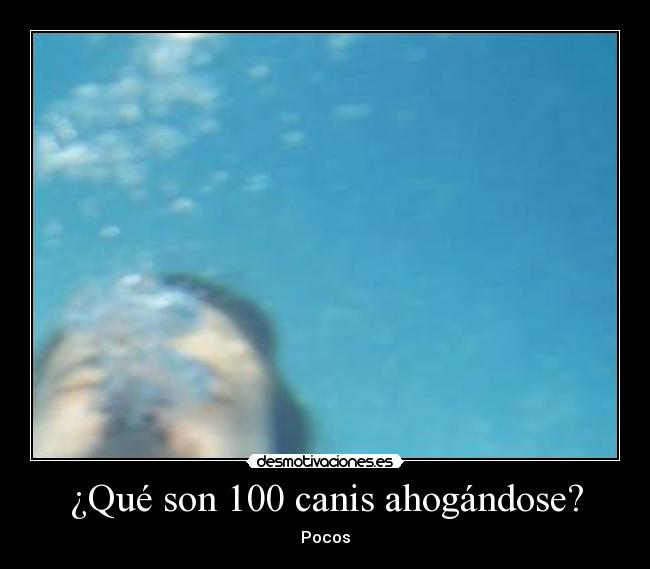 ¿Qué son 100 canis ahogándose? - Pocos