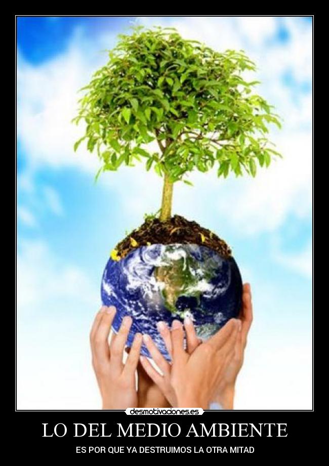 LO DEL MEDIO AMBIENTE - ES POR QUE YA DESTRUIMOS LA OTRA MITAD