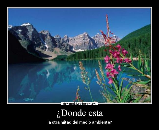 ¿Donde esta -