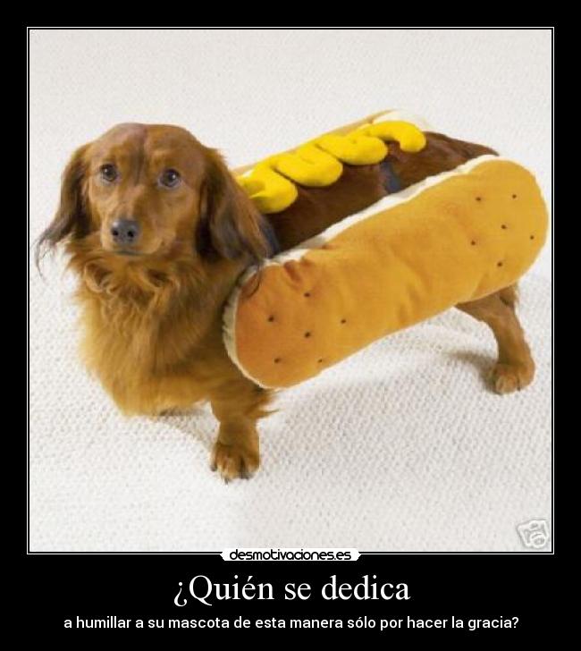 ¿Quién se dedica - a humillar a su mascota de esta manera sólo por hacer la gracia?