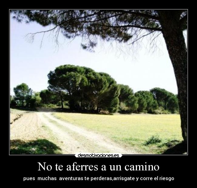 No te aferres a un camino - pues  muchas  aventuras te perderas,arrisgate y corre el riesgo