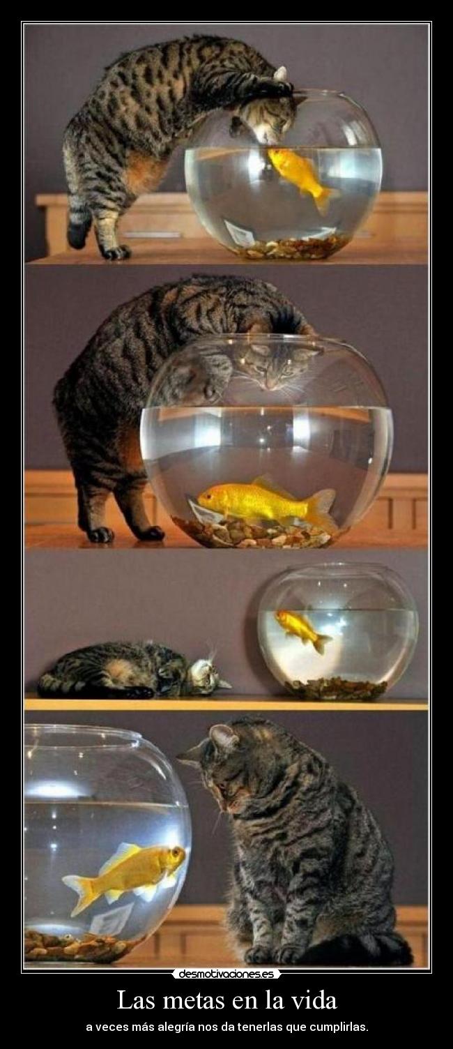 Las metas en la vida -