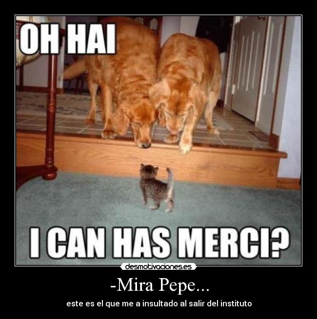 -Mira Pepe... - 