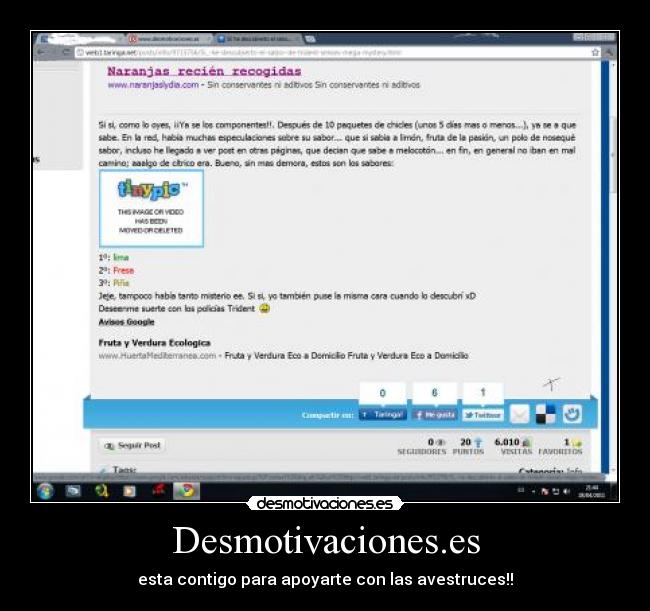 Desmotivaciones.es - esta contigo para apoyarte con las avestruces!!