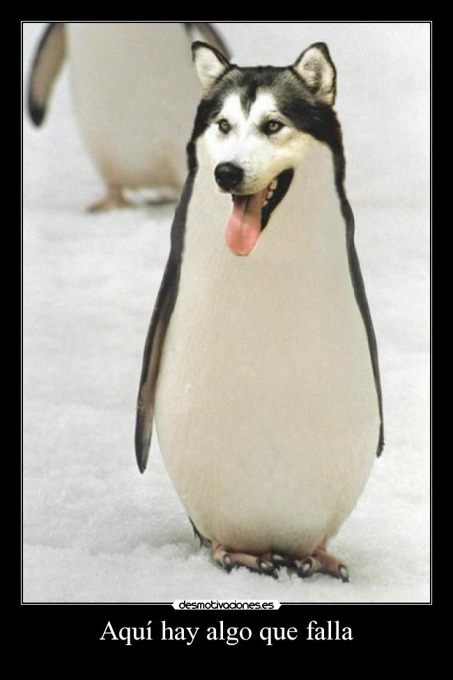 carteles  xdxd dark perro pinguino perrppinguino wtf lol desmotivaciones