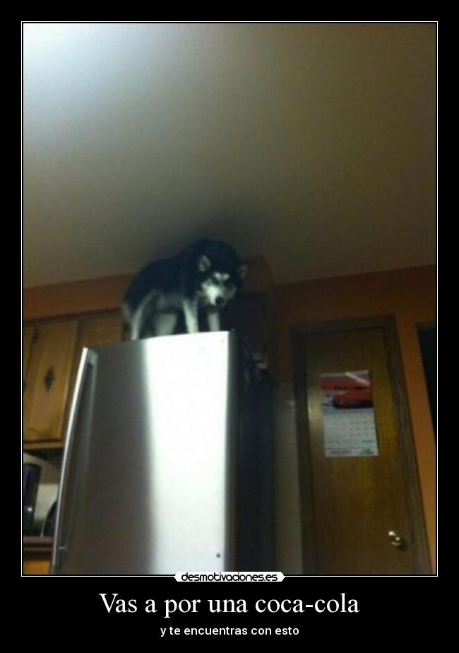 Vas a por una coca-cola - y te encuentras con esto