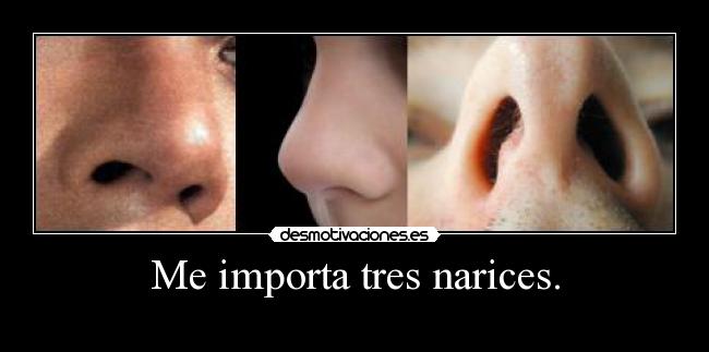 carteles narices desmotivaciones