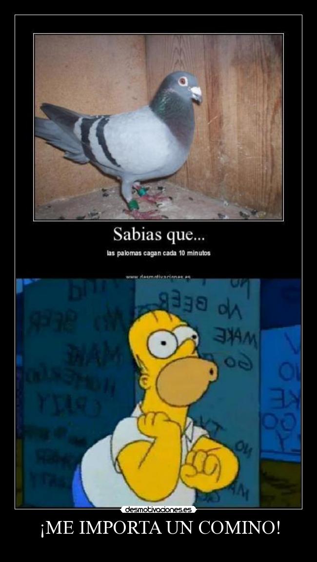 ¡ME IMPORTA UN COMINO! -