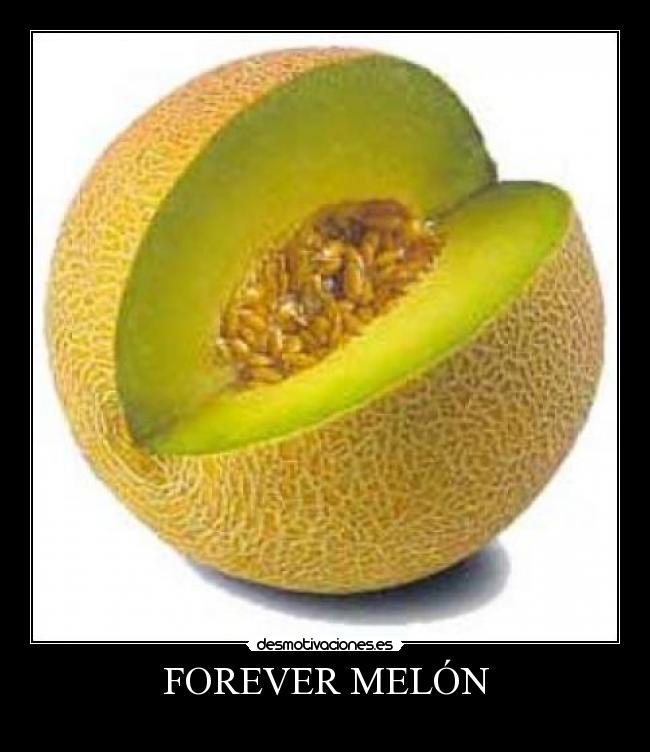 FOREVER MELÓN -
