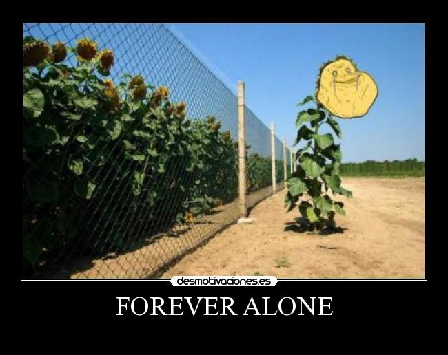 FOREVER ALONE -