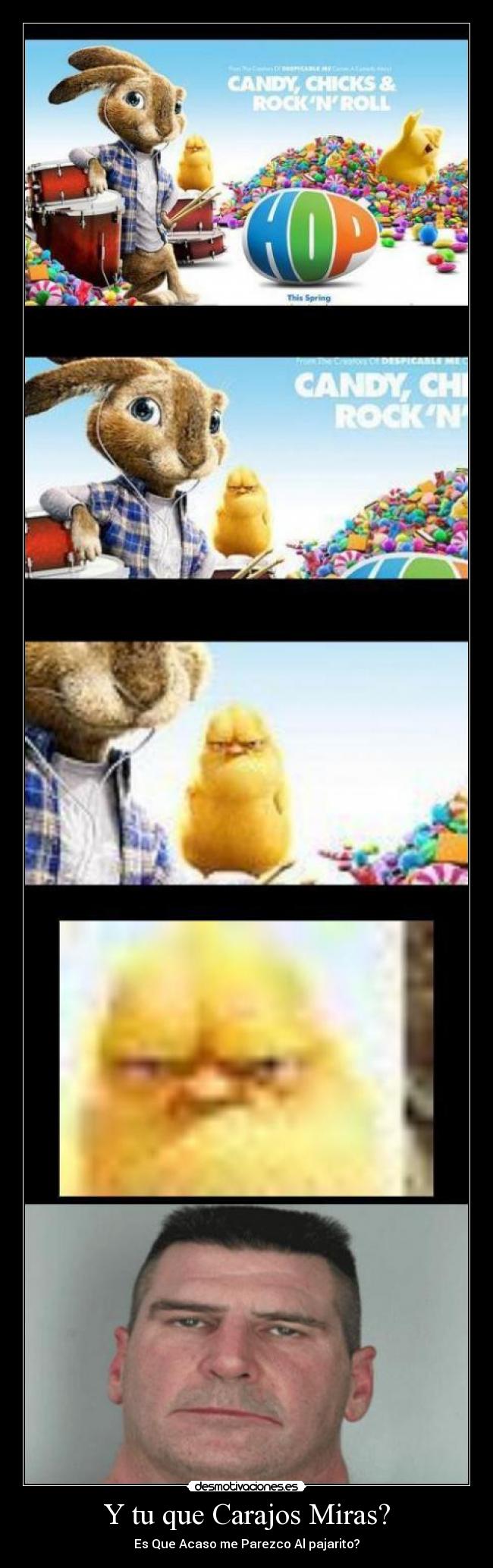 Y tu que Carajos Miras? -