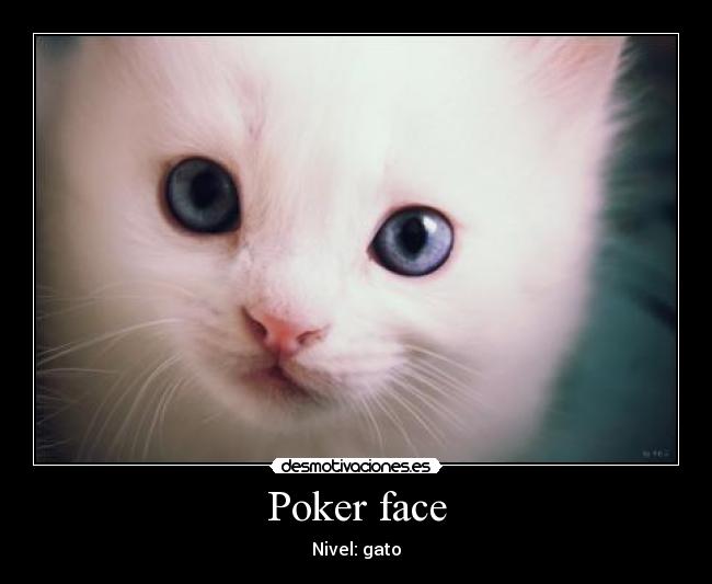 Poker face - Nivel: gato