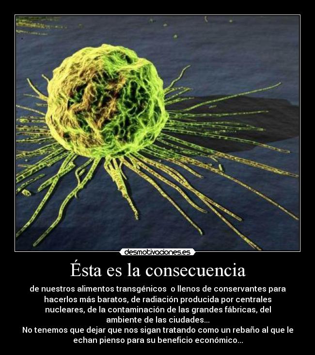 Ésta es la consecuencia - de nuestros alimentos transgénicos  o llenos de conservantes para
hacerlos más baratos, de radiación producida por centrales
nucleares, de la contaminación de las grandes fábricas, del
ambiente de las ciudades...
No tenemos que dejar que nos sigan tratando como un rebaño al que le
echan pienso para su beneficio económico...