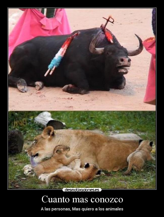 Cuanto mas conozco - 