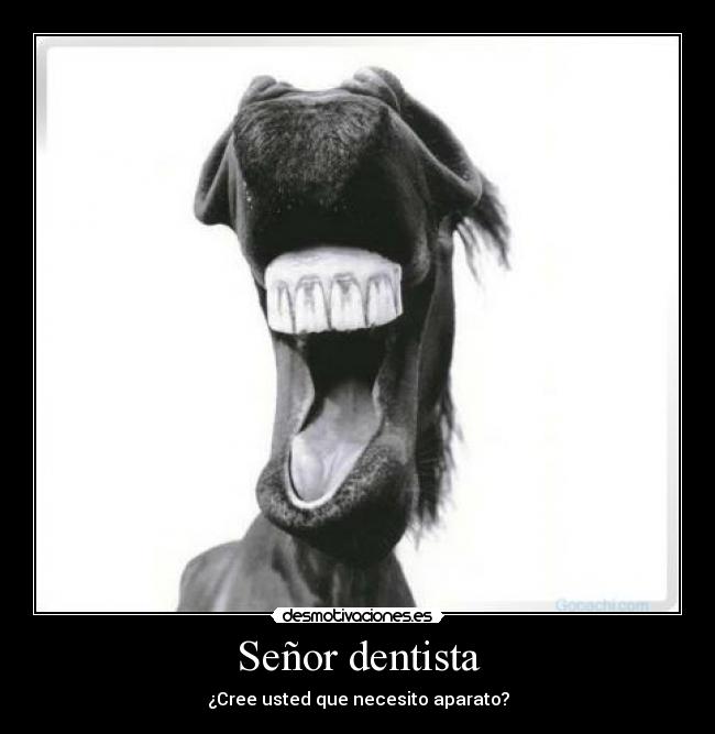 Señor dentista - ¿Cree usted que necesito aparato?