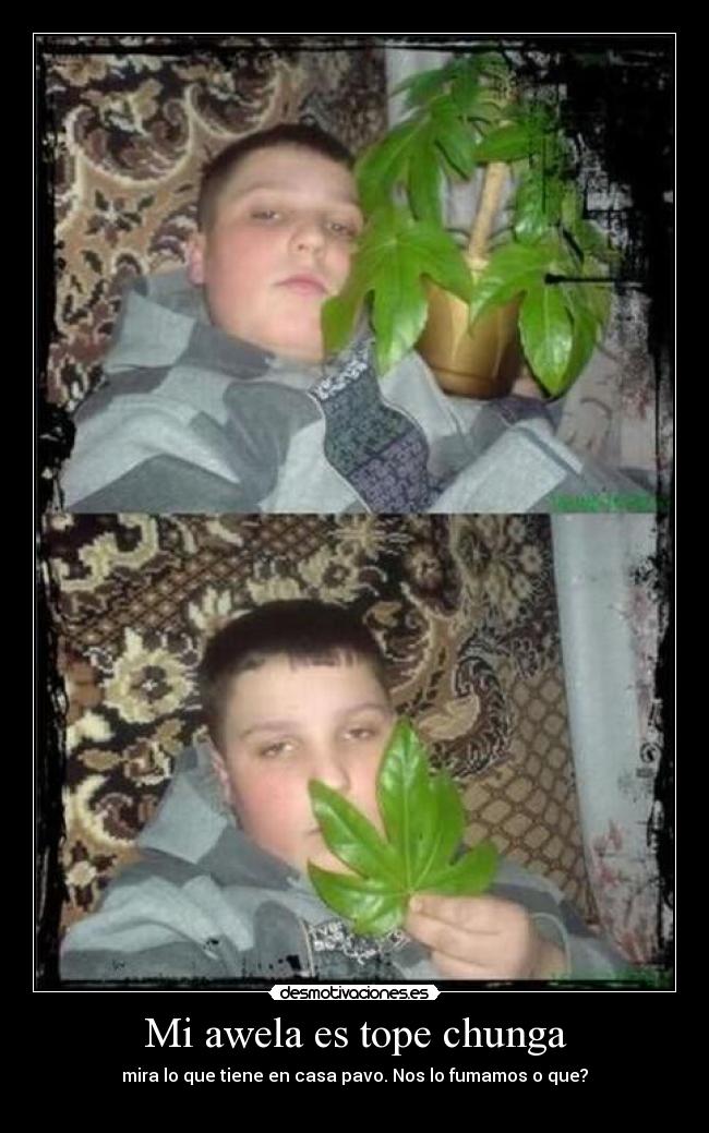 Mi awela es tope chunga -