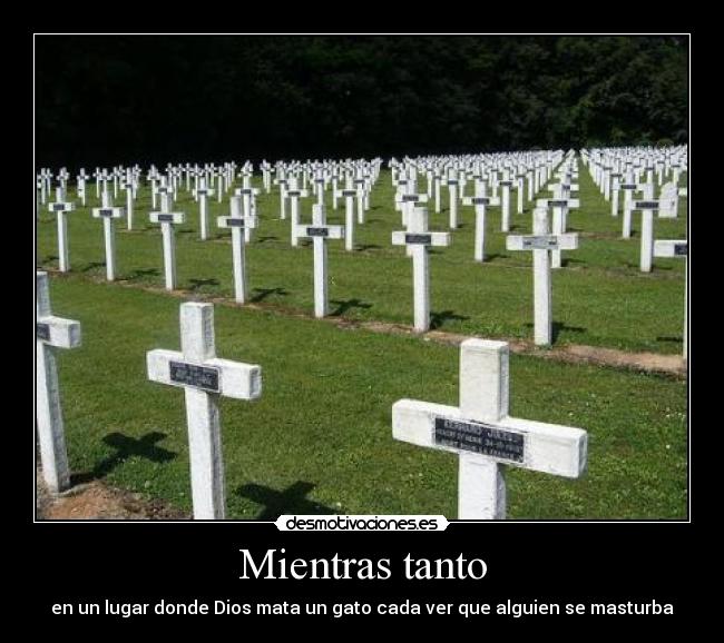 carteles dios masturba gatos desmotivaciones