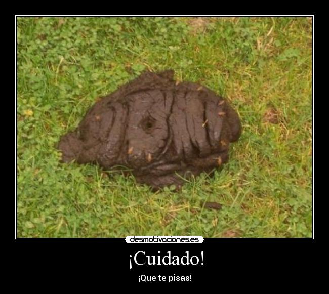 ¡Cuidado! - 