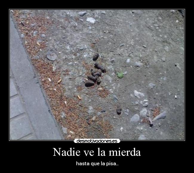 Nadie ve la mierda -