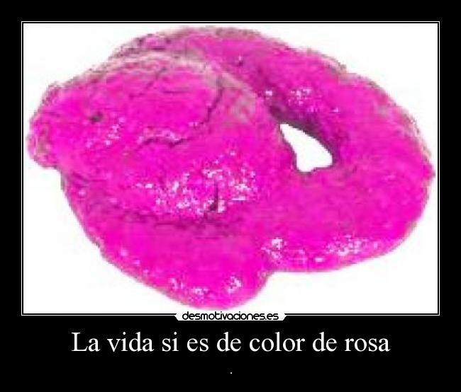 La vida si es de color de rosa - .