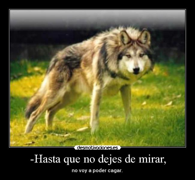 -Hasta que no dejes de mirar, - no voy a poder cagar.