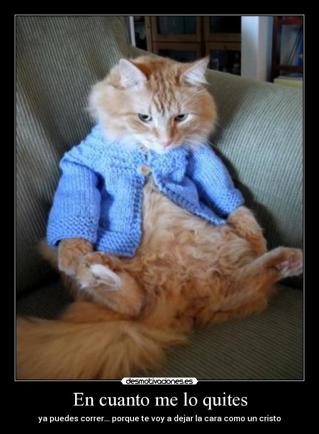 En cuanto me lo quites - ya puedes correr... porque te voy a dejar la cara como un cristo