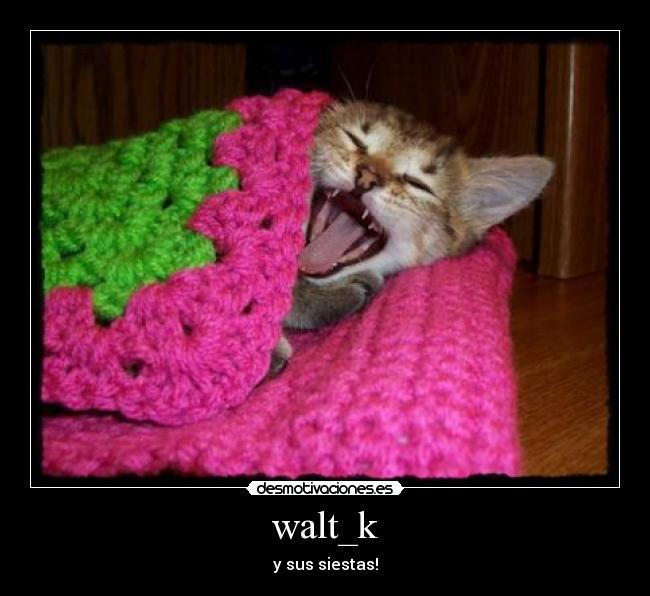 carteles walt_k desmotivaciones