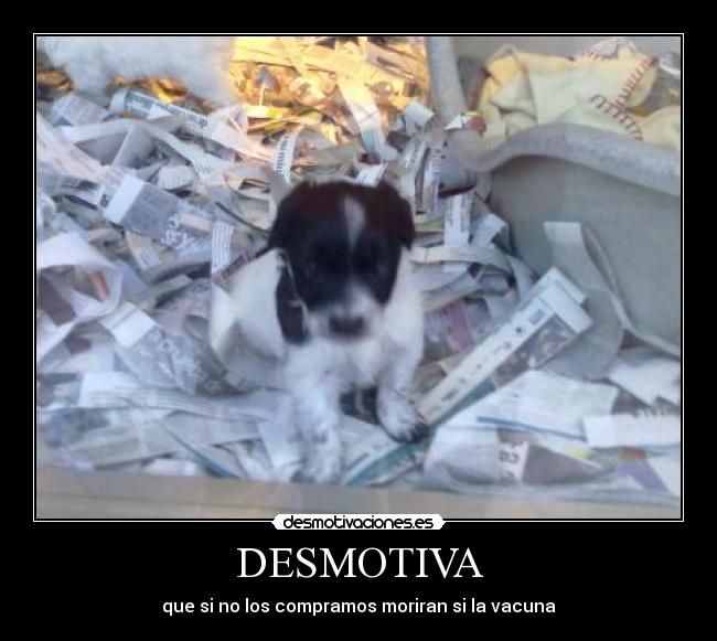 DESMOTIVA -