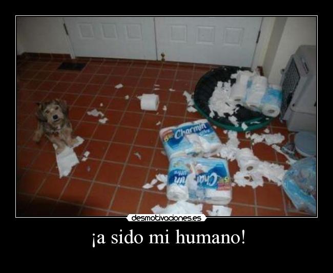 carteles faliines desmotivaciones