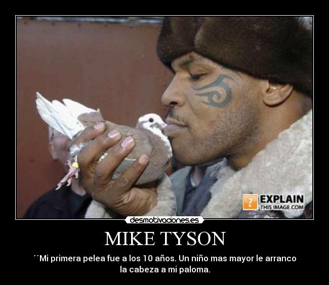 MIKE TYSON - 