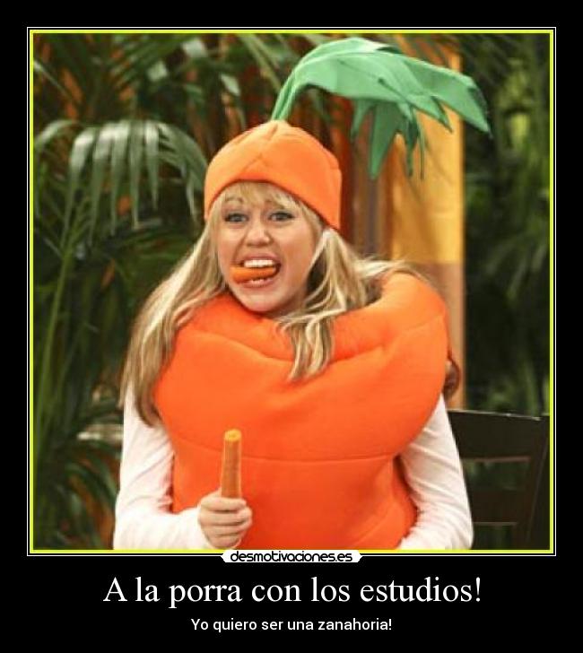 A la porra con los estudios! -