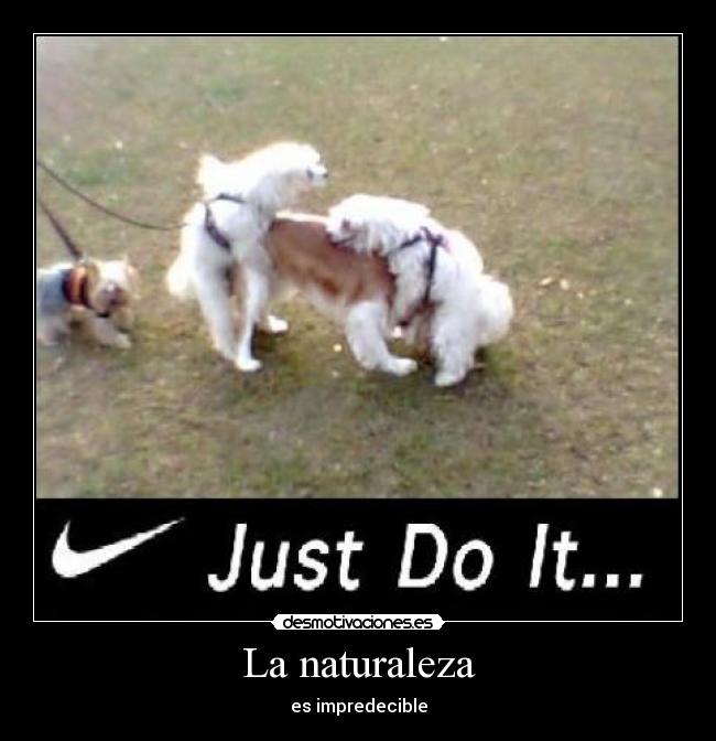 La naturaleza - es impredecible