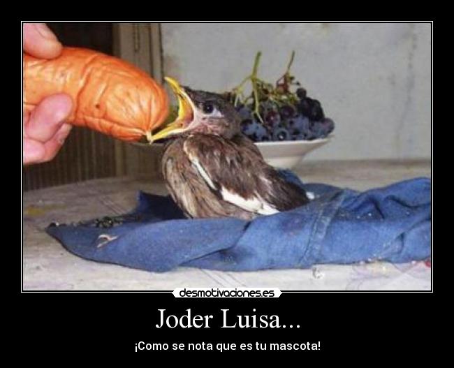 Joder Luisa... - ¡Como se nota que es tu mascota!