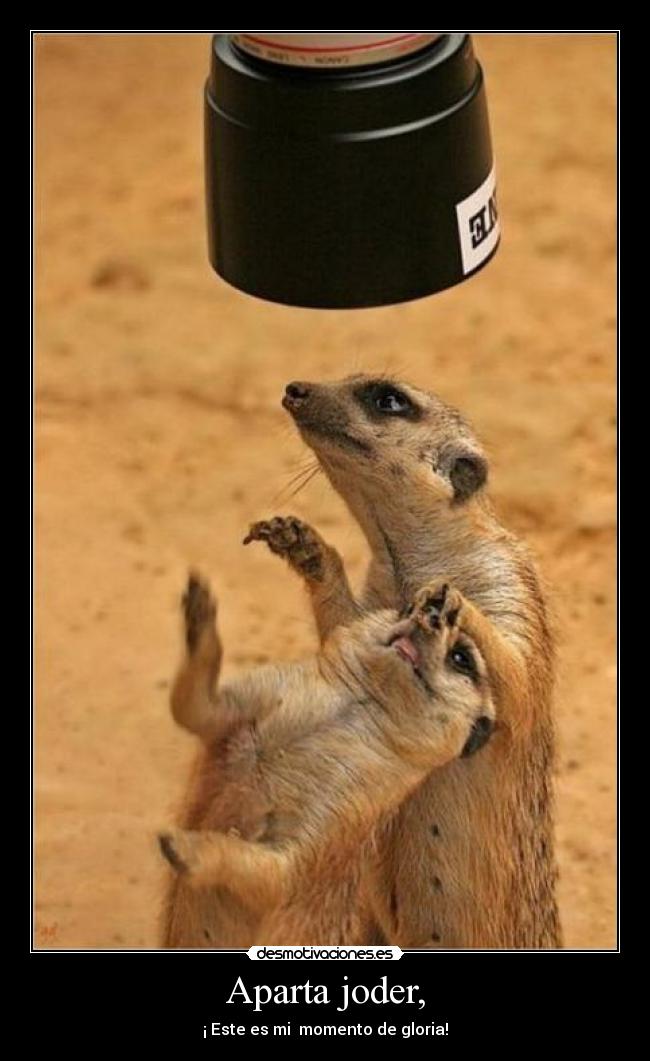 carteles cfewfref desmotivaciones