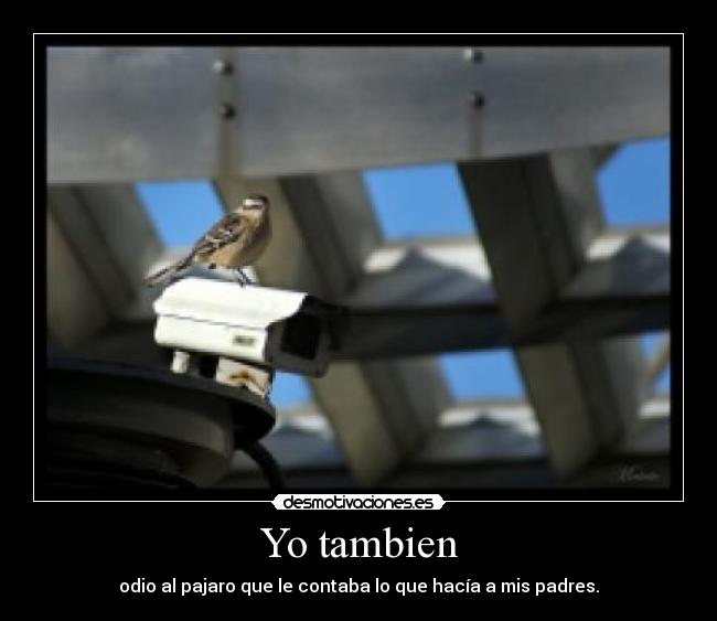 Yo tambien - 