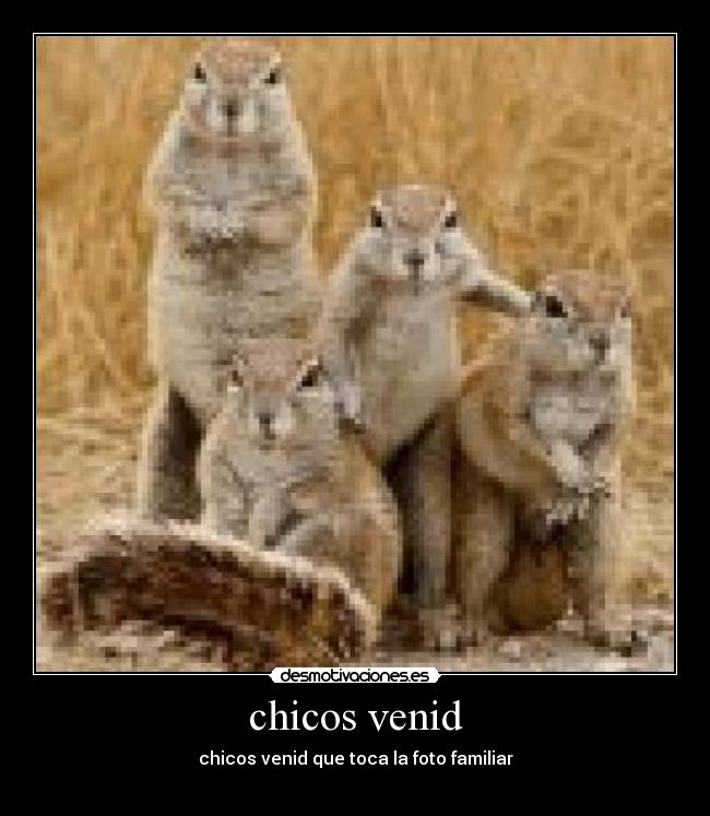 chicos venid - chicos venid que toca la foto familiar

