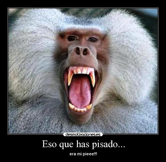 Eso que has pisado... - 