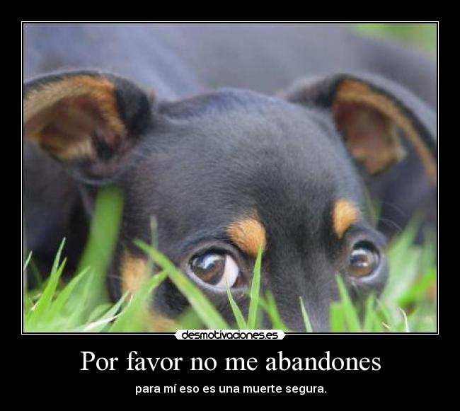 Por favor no me abandones - para mí eso es una muerte segura.