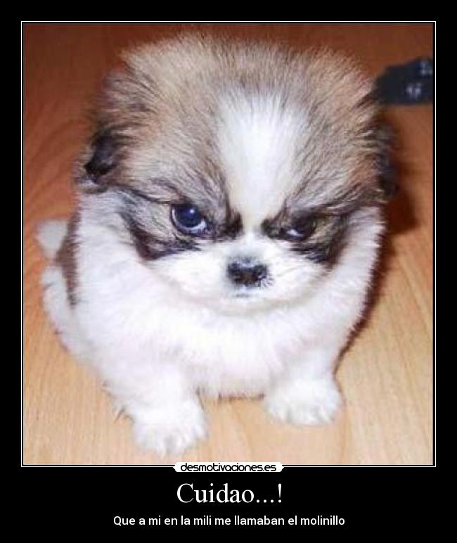 Cuidao...! - Que a mi en la mili me llamaban el molinillo